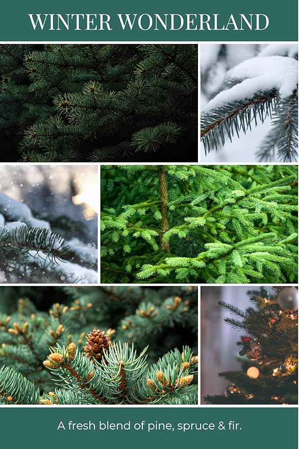 ECO CANDLE CO. Tea Light Candles, Winter Wonderland, 10-Pack - Scents of Pine, Spruce, & Fir - Recyclable, 100% Soy Wax, No Lead, Hand Poured, Made from Midwest Grown Soybeans, 6 oz. Each