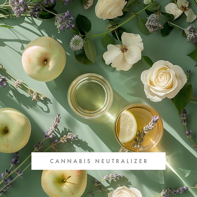 ScentAir Whisper Home Monthly Plug-in Refill, Fragrance Cartridge for Home and Office, Cannabis Neutralizer