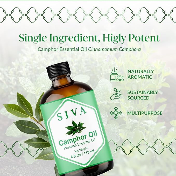 Siva Camphor Essential Oil - 4 Fl Oz – 100% Natural Camphor Oil - for Diffuser, Face, Skin Care, Aromatherapy, Hair Care, Scalp and Body Massage - with Dropper