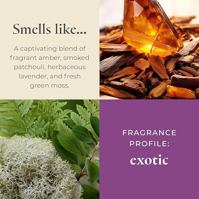 PartyLite Tamboti Woods Scented, Notes of Exotic Amber, Patchouli, Lavender & Green Moss, 13.2oz 3-Wick Jar Candle, 45 Hour Burn Time, Luxurious Fragrance, Perfect for Gifting