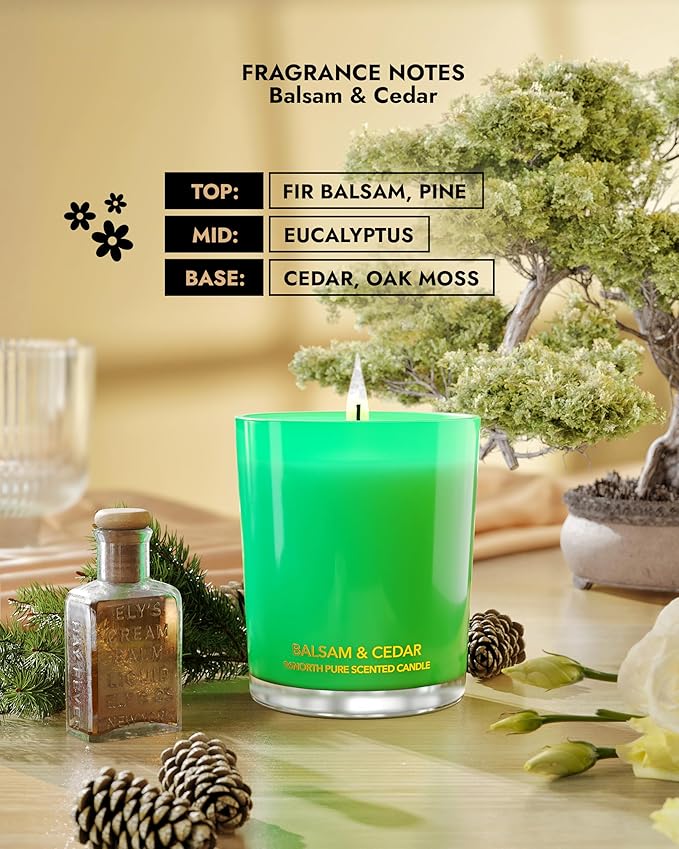 96NORTH Pure Candle Balsam & Cedar Scented | 100% Natural Soy Wax | 1-Wick Jar Candle | Natural Fragrance Technology | Non Toxic | Up to 35 Hours Burning Time | Ideal Christmas Candles Gift