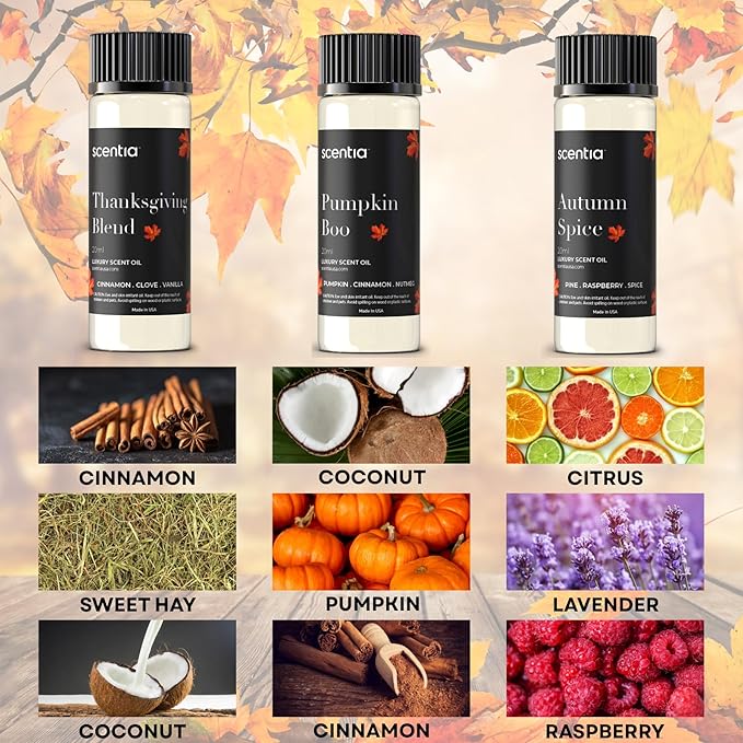 Scentia Bakery Essential Oils Set for Diffuser & Candle Making – Pumpkin, Autumn Spice & Warm Dessert Fragrance Oils – 3 Cozy Aromatherapy Scents, 20ml DIY Craft Gift Set, Made in USA