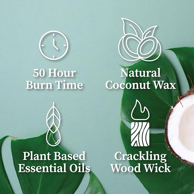 Hemlock Park Amber & Gold Wood Wick Candle Handcrafted with Natural Coconut Wax (Standard 7.2 oz, Hinoki)