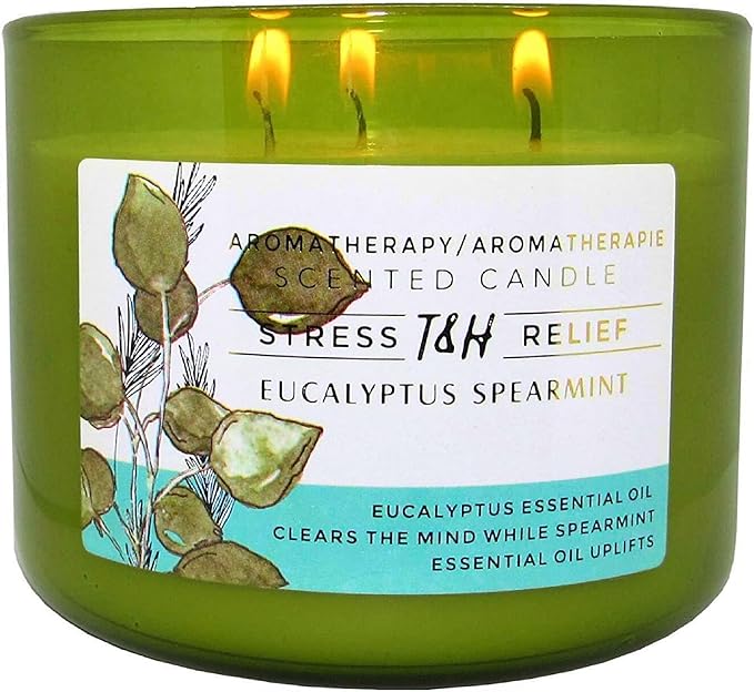 Eucalyptus Spearmint Aromatherapy Candle 3-Wick | Soy Scented Candle for Home 15.8 oz | Stress Relief Candle | Spa Candles Gift for Relaxation, Men & Women | Long Lasting Eucalyptus Candles