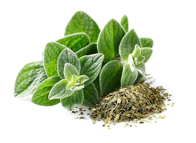 US Organic 100% Pure Oregano Essential Oil - USDA Certified Organic, Steam Distilled (15 ml)