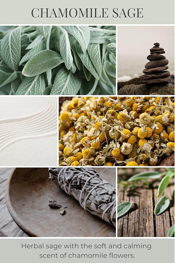 ECO CANDLE CO. Tea Light Candles, Chamomile Sage, 10-Pack - Scents of Sage & Chamomile - Recyclable, 100% Soy Wax, No Lead, Hand Poured, Phthalate Free, Made from Midwest Grown Soybeans, .6 oz. Each