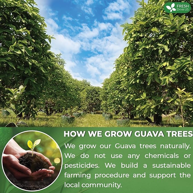 FreshDrinkUS, Premium 50+ Natural Guava Leaves, Whole Dried Leaves, 100% Pure, Natural Guava Loose Leaf Herbal Tea, Non GMO, No Additives, No Caffeine, Vegan