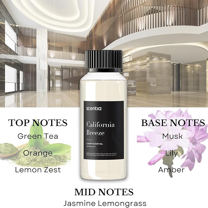 Scentia Hotel Diffuser Oil Inspired by The Delano Beach Club Hotel Scent - 120 mL 4.06 fl oz - Fragrance Oil Blend Orange, Green Tea for Aromatherapy Diffusers - California Breeze, Thanksgiving Gift