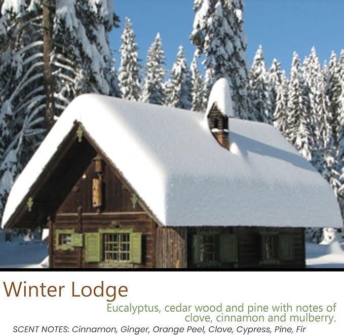 Candeo Candle Woodsy Winter Tealights 12 Pack Soy Beeswax Blend – Winter Lodge, Fraser Fir, O Christmas Tree, Clove & Holiday Home – Cozy Cabin Holiday Candles Handmade USA (Winter Lodge)
