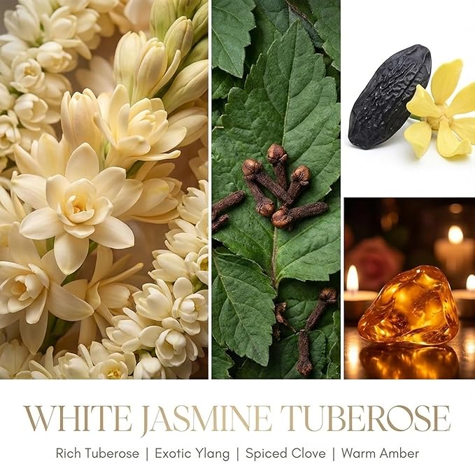 HomeLights Scented Candles for Women & Men, 18oz Candle Jars Aromatherapy 4-Wick Candle, Ideal for Bohemian Natural Textures Home Decor and Gifts, White Jasmine Tuberose