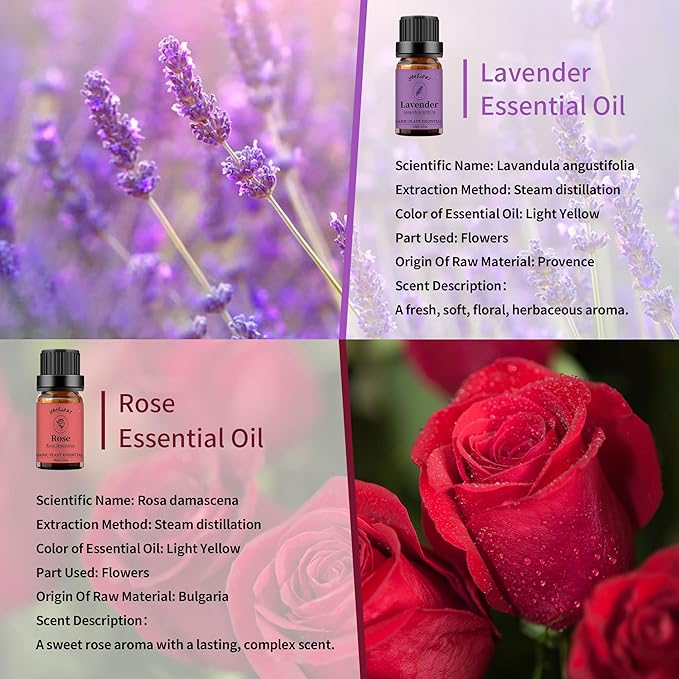 yethious 2 Pack Lavender Rose Essential Oil Set 100% Pure Organic Lavender Aromatherapy Oil Rose Fragance Oil for Diffuser Essential Oil Set
