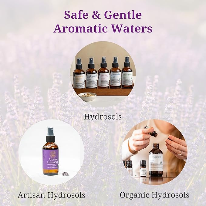 Aromatics International Roman Chamomile Hydrosol 100ml | Sweet Herbaceous Fruity Natural Aromatic Mist for Home, Body & Daily Use