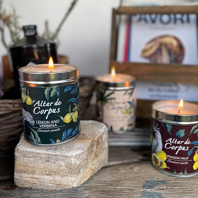 14 Oz Strong Scented Candles Long Lasting – Coconut Lemon Candle - High End Luxury Candles for Home - Cute Candles for Women - Soy Wax Premium Blend - Decorative Candle for Men Gifts