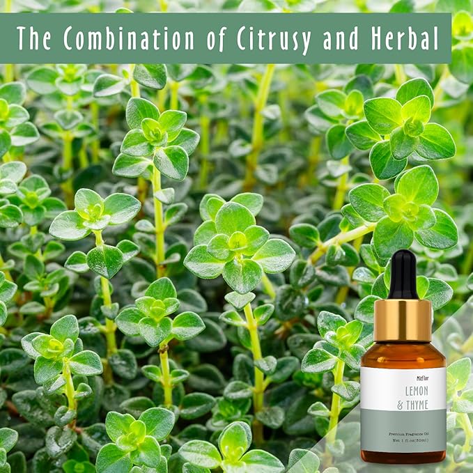 Lemon & Thyme Fragrance Oil, MitFlor Single Scented Oil, Large Size Premium Grade Fragrance Oil for Soap & Candle Making, Hotel Collection Diffuser Oil, Citrusy & Herbal Scent for Home Fragrance, 30ml