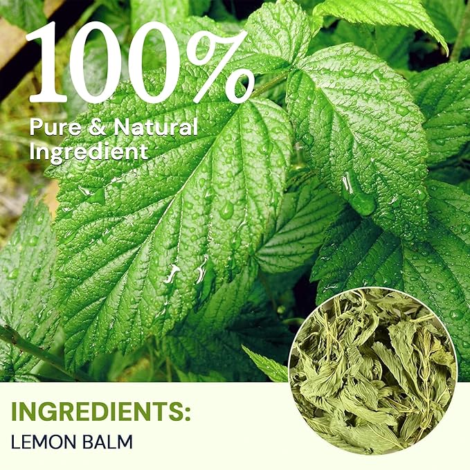 Hiihone Lemon Balm Tea Bags, Pure & Natural Melissa Officinalis Herbal Tea, Premium Dried Lemon Balm Leaf with Naturally Lemony & Citrusy Flavor, Caffeine-Free, Non-GMO, 20 Count