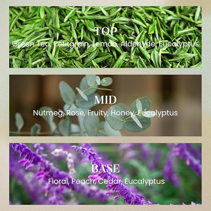 M&SENSE Sage Eucalyptus Candles for Home Scented, 2 Wick 12.7oz Soy Wax Candles Non Toxic,70 Hours Long Burning,Christmas Candles Gift for Stress Relief, Meditation, Yoga