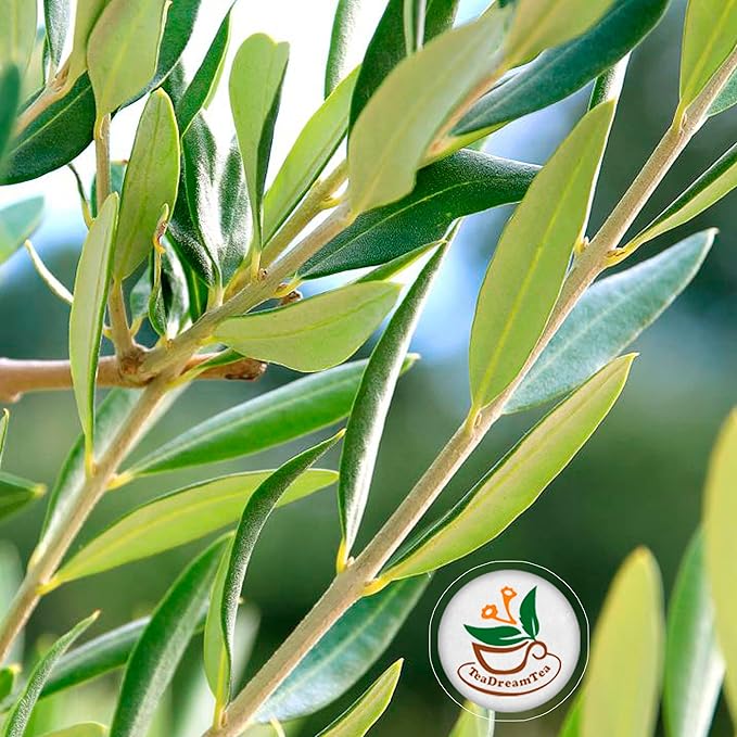 Lemongrass Tea Bags - 400 Bags (Premium Natural Pure Leaf Tea - 400 Count) Gluten-Free and Caffeine-Free Herbal tea for Relaxation, Wallness, Immune Support with Smooth Taste
