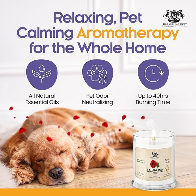 Pet Odor Eliminator Candle Balancing Rose Scented Candle, Calming Candles Aromatherapy for Home Decor, Soy Wax Pet Candles Odor Eliminator for Animal Lover, Aromatherapy by Gerrard Larriett