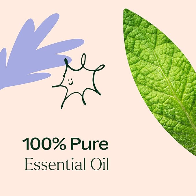 Plant Therapy Respir Aid Essential Oil Blend 10 mL (1/3 oz) Sinus, Airway and Congestion Clearing Oil Blend, 100% Pure, Undiluted, Natural Aromatherapy, Therapeutic Grade