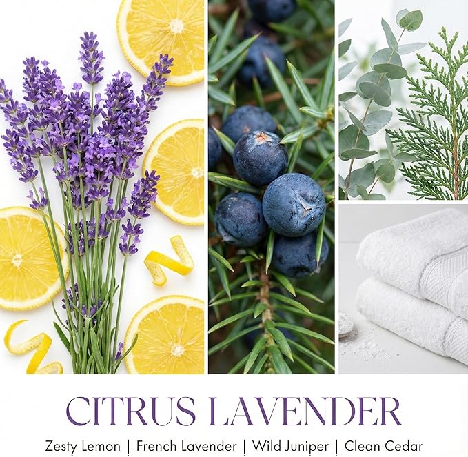 HomeLights Citrus Lavender Scented Candles | 18oz Soy Candles Scandinavian Minimalist Design 4-Wick Large Candle Jars | Ideal Candle Gifts for Events, Home Decor Stress, Relief & Relaxation