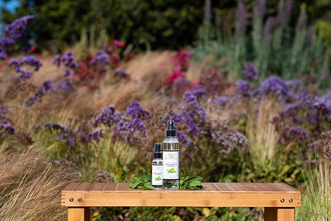 EuroSpa Aromatics Pure Eucalyptus Oil ShowerMist and Steam Room Spray, All-Natural Premium Aromatherapy Essential Oils - Menthol Infused, 2oz