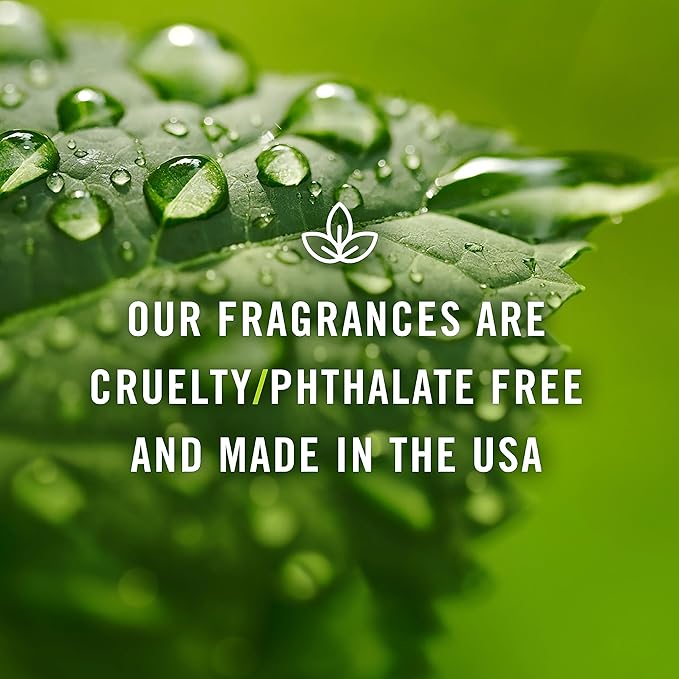 P&J Trading - Magnolia Scented Oil 30ml - Fragrance Oil for Candle Making, Soap Making, Diffuser Oil