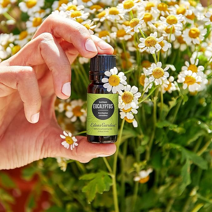 Lemon Eucalyptus 100% Pure Therapeutic Grade Essential Oil - 30 ml