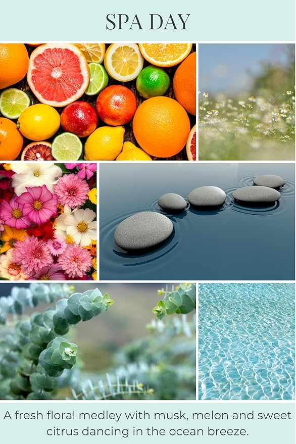ECO CANDLE CO. Tea Light Candles, Spa Day, 10-Pack - Scents of Flowers, Musk, Melon, Citrus, & Ocean Air - Recyclable Plastic Cups, 100% Soy Wax, No Lead, Hand Poured, Midwest Soybeans, .6 oz. Each