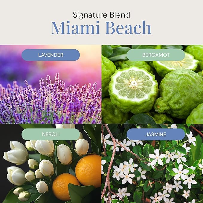 Miami Beach Aroma Oil, Essential Oils Blend for Diffusers & Scent Machines, Fresh Cologne Scent with Citrus & Musk Notes, Aromatherapy, Cold Air Diffuser Compatible, 300 mL