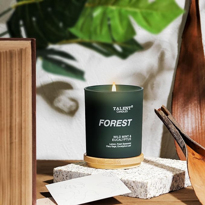 Candles for Home Scented, Natural Soy Wax, Scented Candle Stress Relief and Relaxation, Wild Mint & Eucalyptus, Medium Jar, Ideal for Home and Bedroom Decor