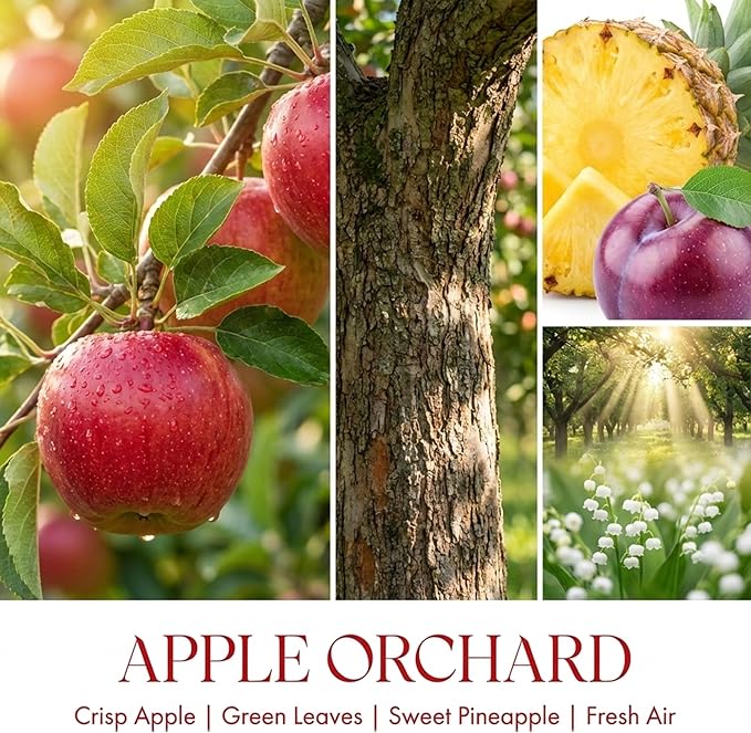 HomeLights Soy Wax Candles for Home Scented, 1-Wick Candles in Apple Orchard Scented, Aromatherapy Candles Gift for Parties, Relaxing, Eclectic Mixed Styles, 6.7oz