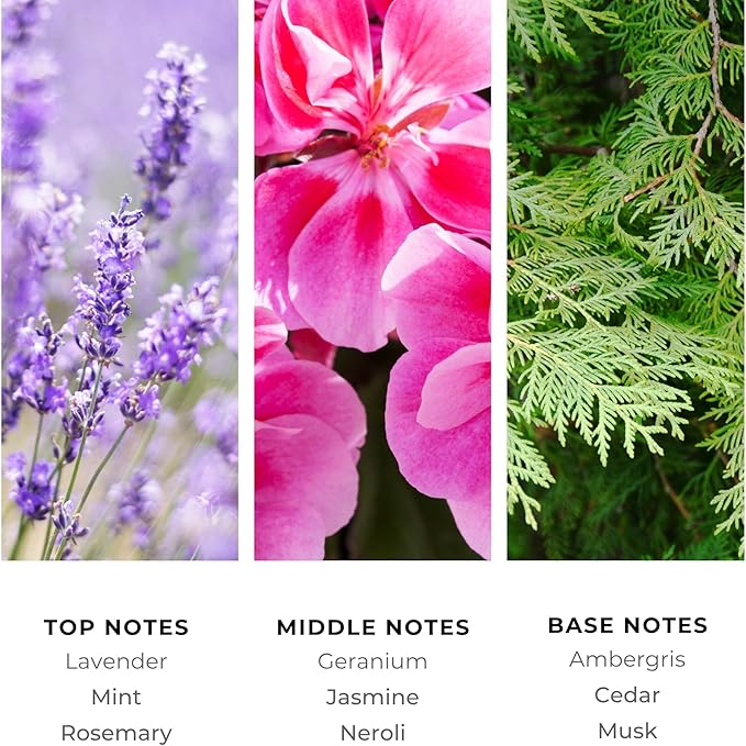 Brilliant Scents Cool Waters Fragrance Oil 120ml - Premium Diffuser Oil for Home, Office, Hotels - Long Lasting, Plant-Based, Meets IFRA Standards, USA-Made - Mint, Lavender, Tobacco