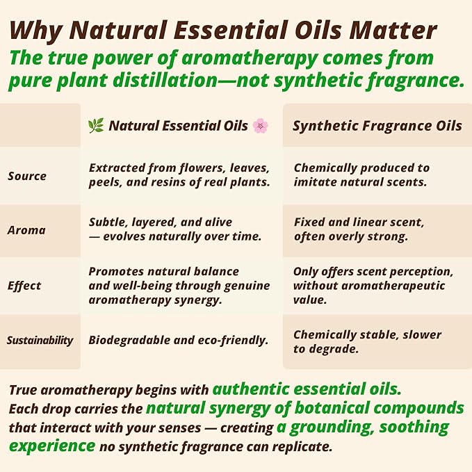 Forest Rose Aromatherapy Body & Massage Lotion – Essential Oil Lotion with a Fresh Woody-Floral Aroma, Lightweight Hydrating Moisture, 3.4 fl oz / 100 ml