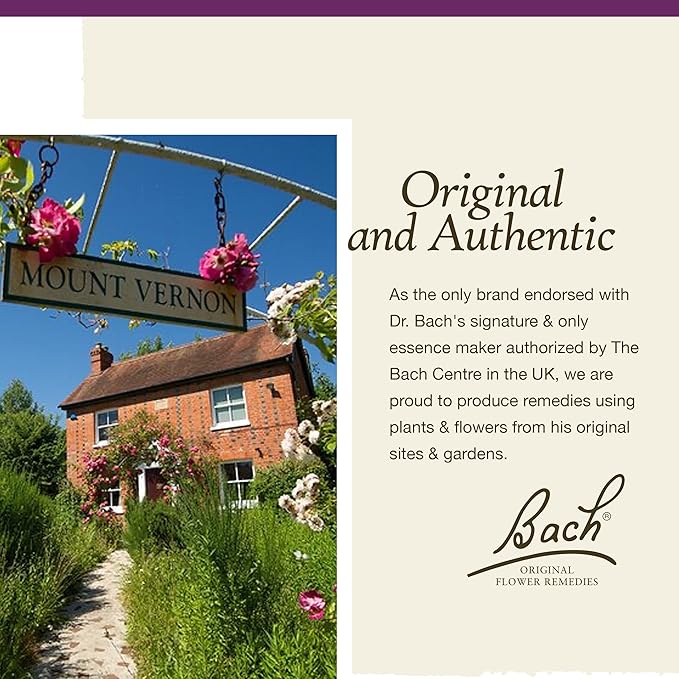 Bach Original Flower Remedies, Water Violet - Connect with Others - Natural Homeopathic Flower Essence for Emotional Balance - Vegan, Gluten Free, Sugar Free - 20mL Dropper
