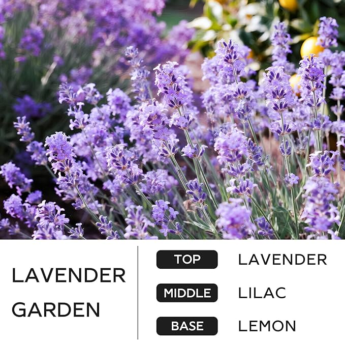 Lavender Candle, 14.1 oz Scented Candles for Home, 2 Wicks Blended Scents Aromatherapy Candles for Women and Men, Birthday Gifts for Women (Lavender+Lilac+Lemon)