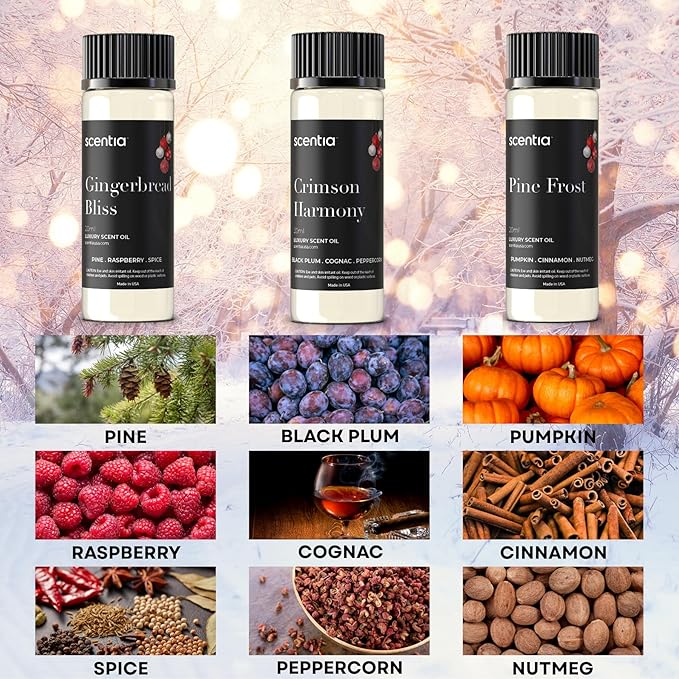 Scentia Fragrance Oil Set for Diffusers & Candle Making – Forest Fresh Pine, Bright Citrus Woods & Warm Gingerbread Bakery – 3 Aromatherapy Scents, 20ml DIY Craft Gift Set, Made in USA