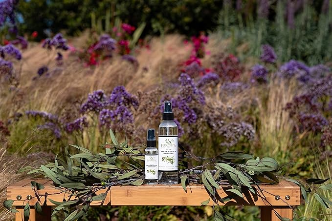 EuroSpa Aromatics Pure Eucalyptus Oil ShowerMist and Steam Room Spray, All-Natural Premium Aromatherapy Essential Oils - Pure Eucalyptus, 2oz