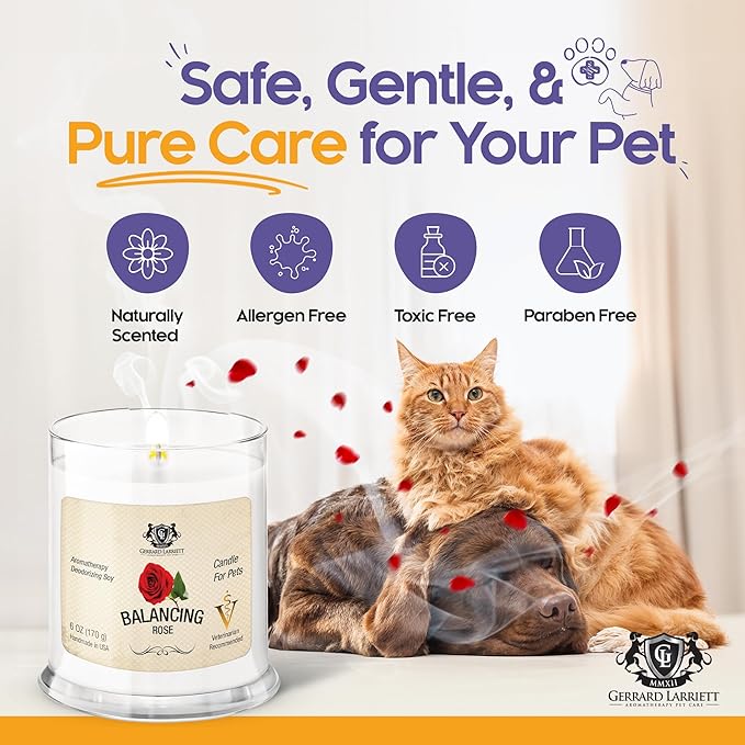 Pet Odor Eliminator Candle Balancing Rose Scented Candle, Calming Candles Aromatherapy for Home Decor, Soy Wax Pet Candles Odor Eliminator for Animal Lover, Aromatherapy by Gerrard Larriett