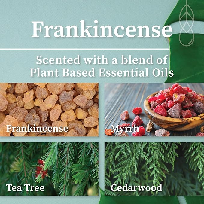 Hemlock Park Wood Wick Candle Handcrafted with Natural Coconut Wax and Essential Oils (Standard 7.2 oz, Frankincense)