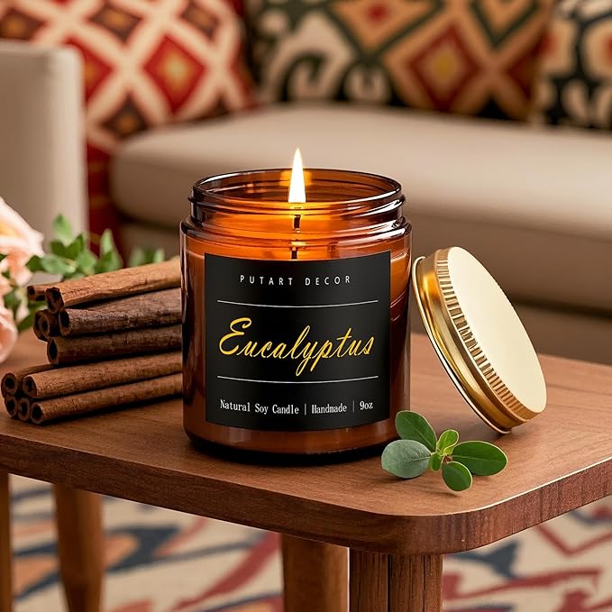 Eucalyptus Mint Candles for Home Scented, Natural Soy Aromatherapy Non Toxic Candles with Long Lasting Fragrance & Clean Burn, Luxury Jar Candle Gift for Women, Men, Home Decoration 9oz