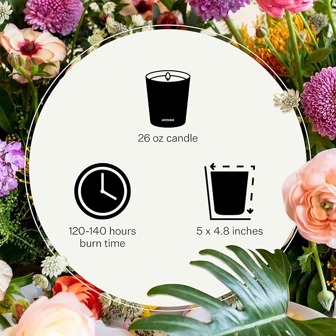 Apotheke 3-Wick Scented Candles for Home, Cedarwood Ginger - 26 oz Soy Wax Jar Candle Gift for Women - Long-Lasting Fragrance with Perfume-Grade Essential Oils - Patchouli, Red Tea, Fig & Coconut