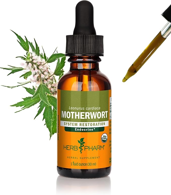 Herb Pharm Certified Organic Motherwort Liquid Extract for Endocrine System Support - 1 Ounce