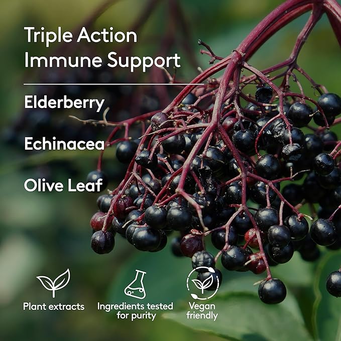 Children's Immune + Wellbeing Herbal Syrup, Daily Immunity with Elderberry, Echinacea & Olive Leaf, High Absorption, Elderberry Flavor, Plant-Based - 5.1 Fl oz (30 Servings)