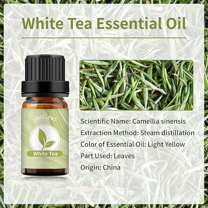 yethious White Tea Essential Oil White Tea Oil for Diffuser & Aromatherapy, Baths, Soap, Candle Making Scent Oil 2PCS*10ML