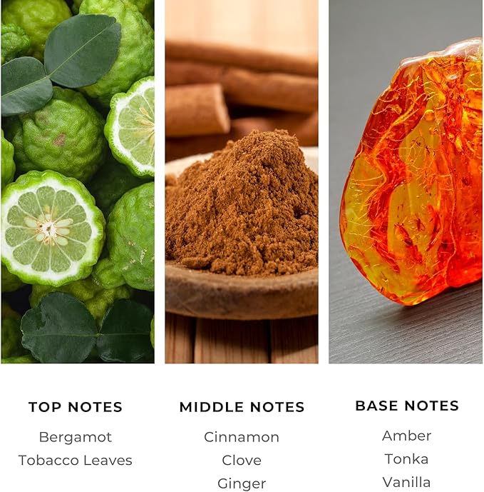Brilliant Scents Diffuser Oil Refill, Inspired by Tobacco Vanille Designer Collection Aroma Scents, Essential Oils Set for Home, Fragrance Oil for Candle Making, Hotel, 50ML, Nightfall