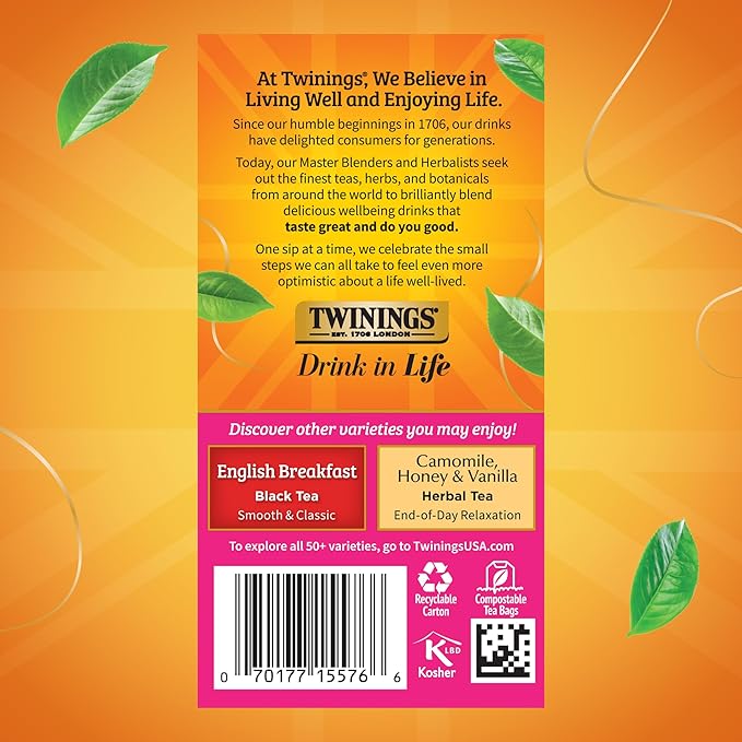 Twinings English Afternoon Black Tea Individually Wrapped Bags, 20 Count (Pack of 1), Smooth & Slightly Sweet, Caffeinated, Enjoy Hot or Iced, 20 Teabags