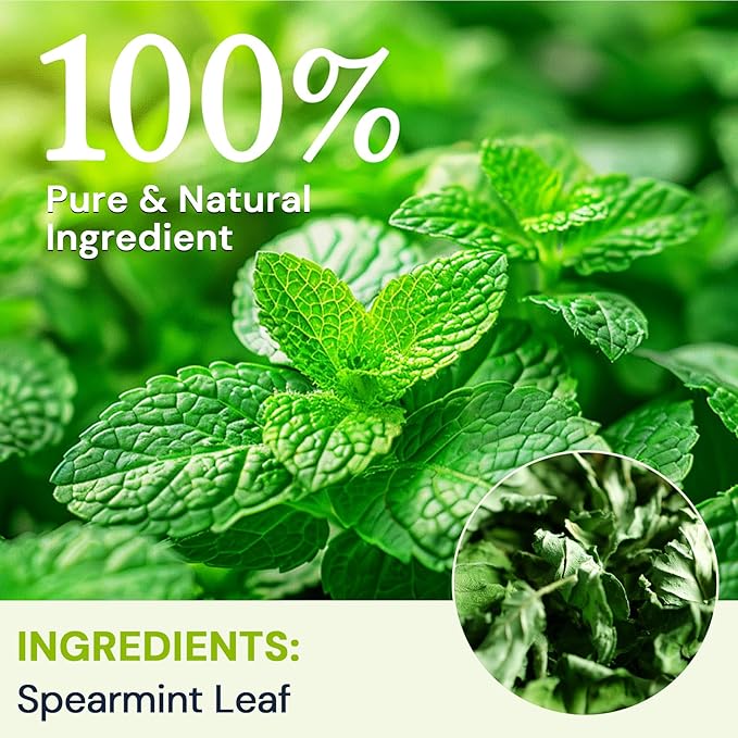 Spearmint Leaf Herbal Tea - Caffeine Free, 120 Teabags