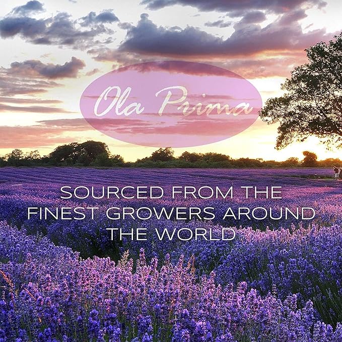 Ola Prima Rosemary Essential Oil (16oz Bulk) for Aromatherapy, Diffuser, Mood Booster – Rosemary Oil for Hair Growth