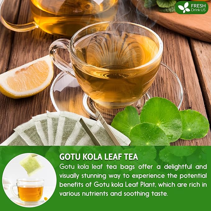 FreshDrinkUS, Premium Gotu Kola Leaf Tea – 75 Tea Bags | Pure Dried Centella Asiatica Leaves | Naturally Caffeine-Free Herbal Tea | Refreshing Aroma & Smooth Taste | Premium Herbal Infusion. Vegan