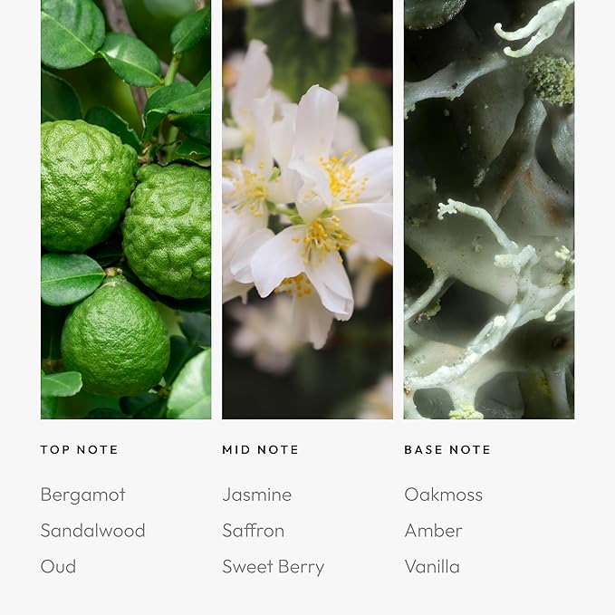 Aroma360 - Chandelier Fragrance Oil Blend | Hotel Inspired for Luxury Essential Oil Diffusers | Aromatherapy Scent Diffuser Oil | Bergamot, Woodsy Sandalwood, and Flirtatious Saffron - 50ML